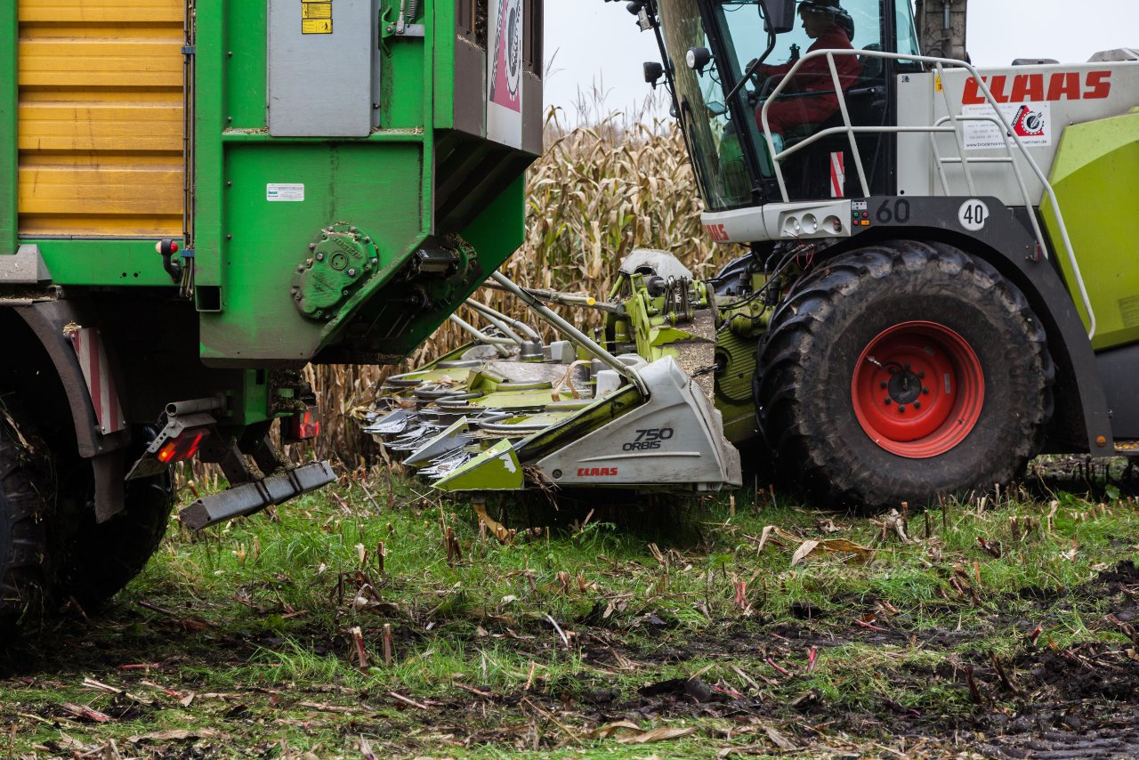 Bild 122 - Biogas am 21.10.12